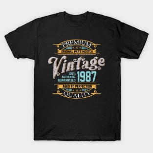 Premium Quality original part (mostly) vintage 1987 T-Shirt